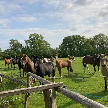 Feriehus Cottage Osterrade