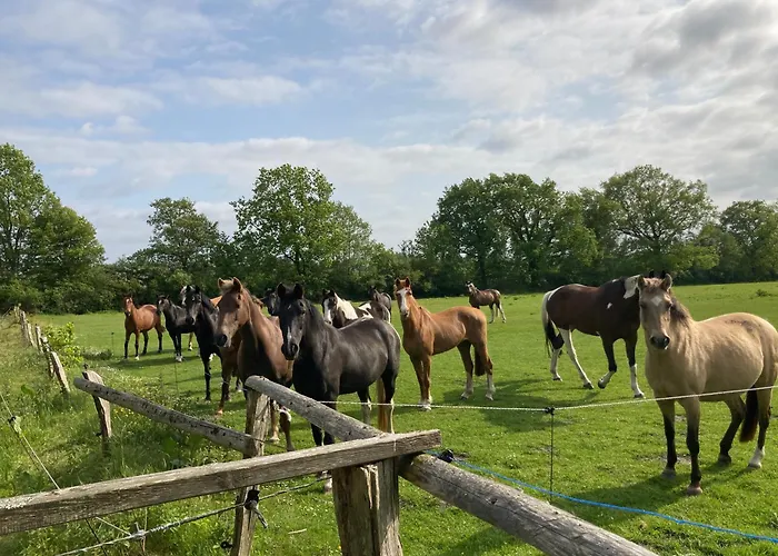 Nyaraló Cottage Osterrade
